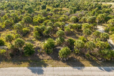Land in North Port, Florida № 2195407 - photo 14