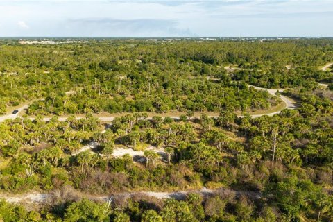 Land in North Port, Florida № 2195407 - photo 17