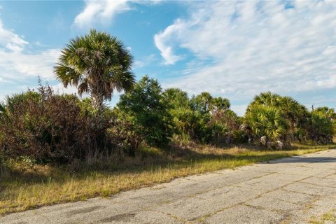 Land in North Port, Florida № 2195407 - photo 13