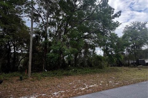 Terreno en venta en Deltona, Florida № 1590040 - foto 4