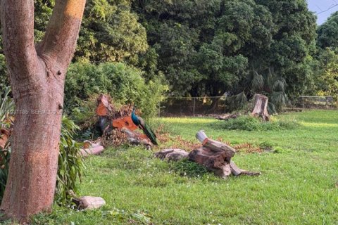 House in Miami, Florida 1 bedroom, 94.76 sq.m. № 1989614 - photo 15