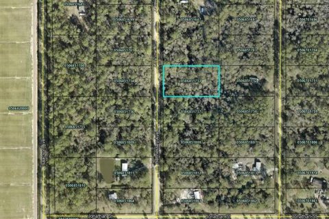 Land in Hastings, Florida № 2158680 - photo 3