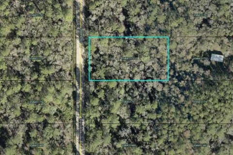 Land in Hastings, Florida № 2158680