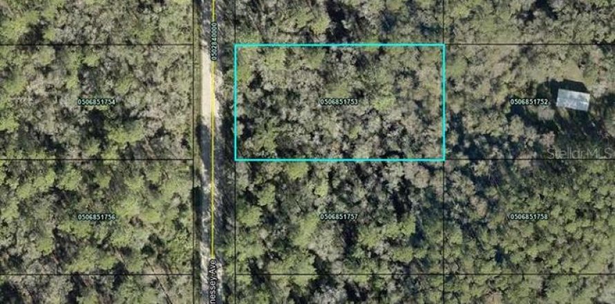 Land in Hastings, Florida № 2158680