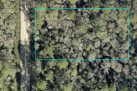 Land in Hastings, Florida № 2158680 - photo 2