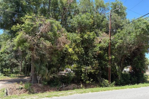 Terreno en Oak Hill, Florida № 2202332