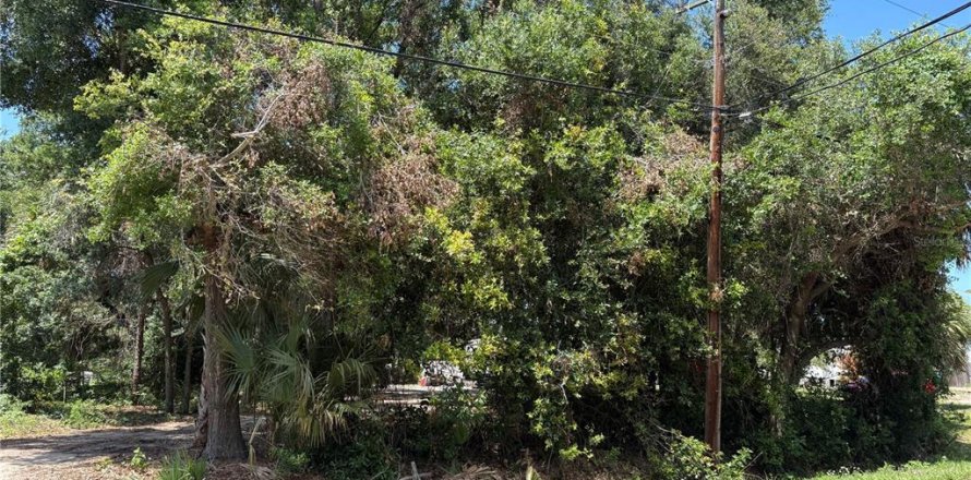 Terreno en Oak Hill, Florida № 2202332