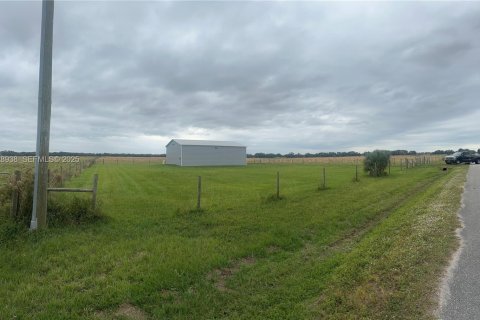 Immobilier commercial à vendre à Okeechobee, Floride № 1987843 - photo 22