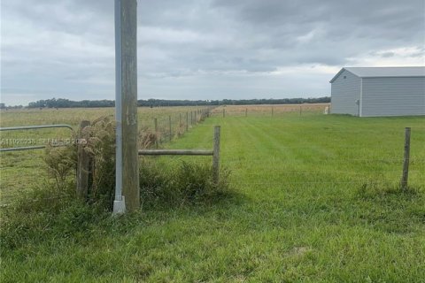 Immobilier commercial à vendre à Okeechobee, Floride № 1987843 - photo 5
