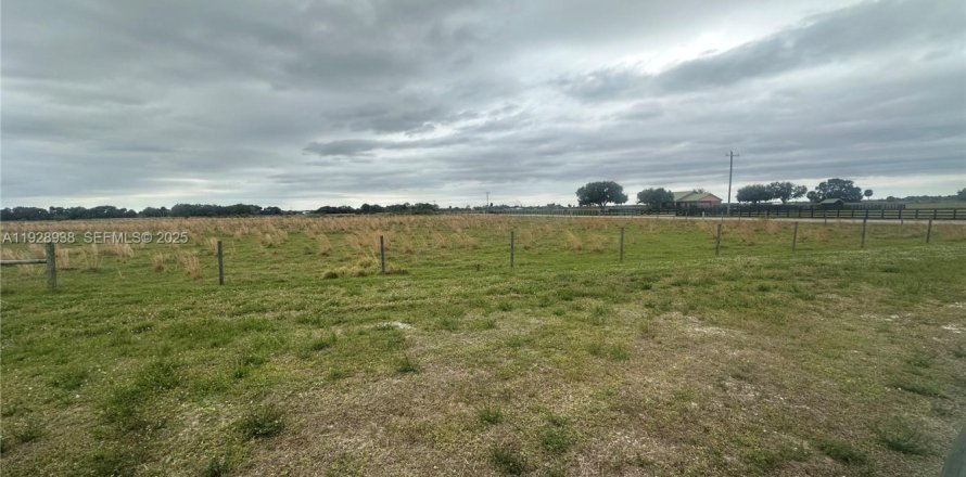 Immobilier commercial à Okeechobee, Floride № 1987843