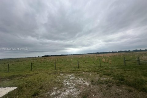 Immobilier commercial à vendre à Okeechobee, Floride № 1987843 - photo 3