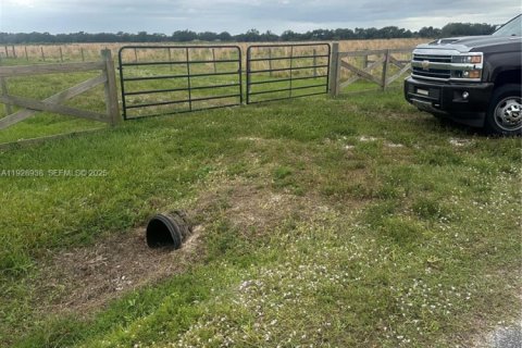 Immobilier commercial à vendre à Okeechobee, Floride № 1987843 - photo 8