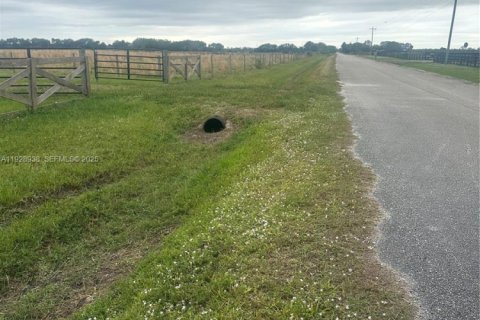 Immobilier commercial à vendre à Okeechobee, Floride № 1987843 - photo 23