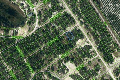 Land in Lake Placid, Florida № 2224032