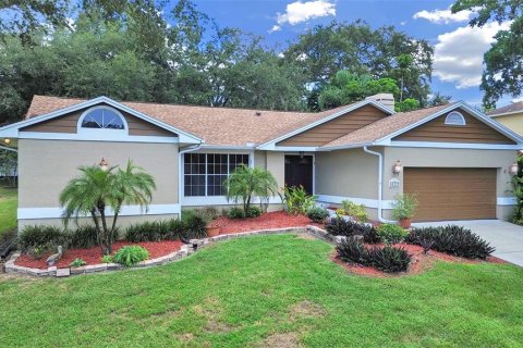 House in Palm Harbor, Florida 4 bedrooms, 212.47 sq.m. № 2368860