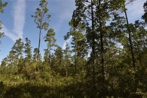 Land in Fort MC Coy, Florida № 2394400 - photo 6
