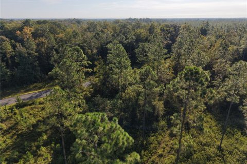 Land in Fort MC Coy, Florida № 2394400 - photo 23