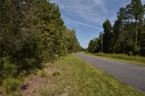 Land in Fort MC Coy, Florida № 2394400 - photo 5
