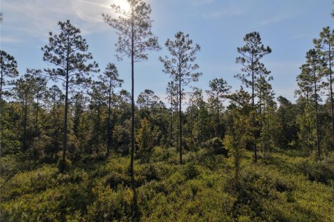 Land in Fort MC Coy, Florida № 2394400