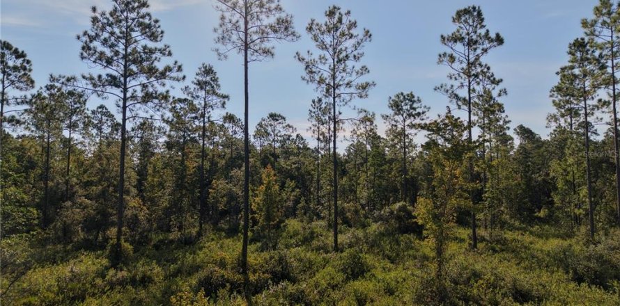 Land in Fort MC Coy, Florida № 2394400