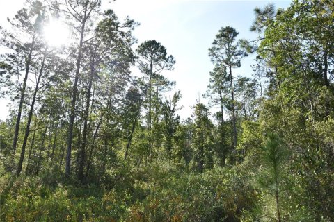Land in Fort MC Coy, Florida № 2394400 - photo 29