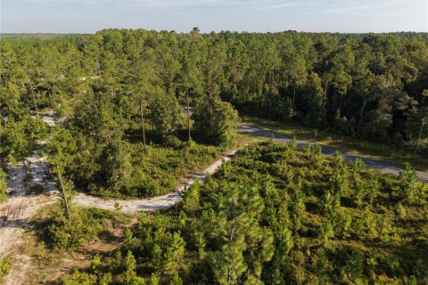 Land in Fort MC Coy, Florida № 2394400 - photo 20