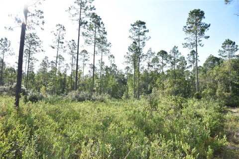 Land in Fort MC Coy, Florida № 2394400 - photo 28