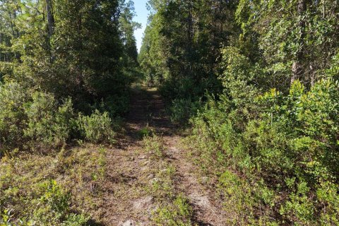 Land in Fort MC Coy, Florida № 2394400 - photo 9