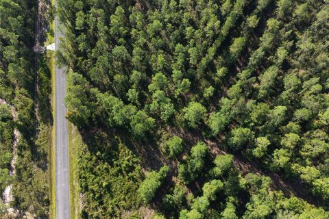 Land in Fort MC Coy, Florida № 2394400 - photo 10