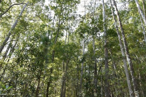Land in Fort MC Coy, Florida № 2394400 - photo 8