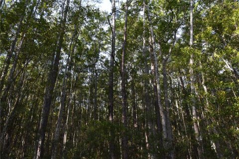 Land in Fort MC Coy, Florida № 2394400 - photo 7