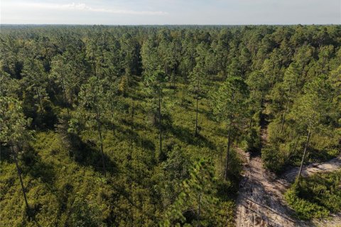 Land in Fort MC Coy, Florida № 2394400 - photo 19