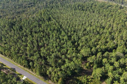 Land in Fort MC Coy, Florida № 2394400 - photo 11
