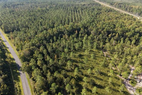 Land in Fort MC Coy, Florida № 2394400 - photo 2