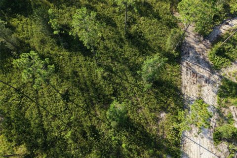 Land in Fort MC Coy, Florida № 2394400 - photo 24