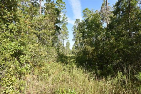 Land in Fort MC Coy, Florida № 2394400 - photo 3