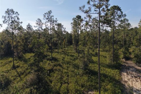 Land in Fort MC Coy, Florida № 2394400 - photo 18