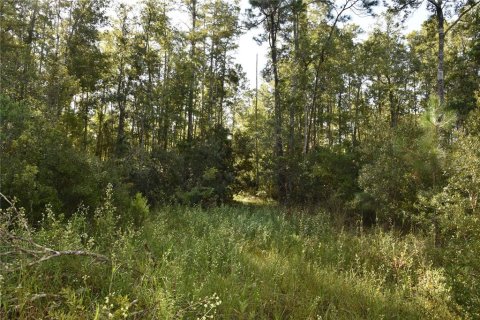 Land in Fort MC Coy, Florida № 2394400 - photo 4