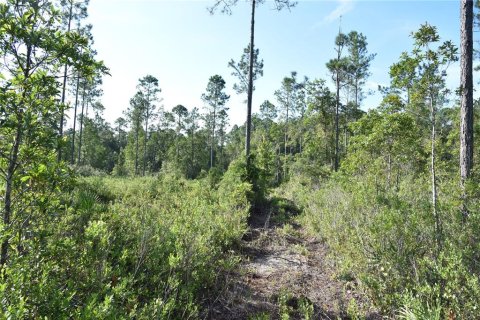 Land in Fort MC Coy, Florida № 2394400 - photo 27