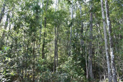 Land in Fort MC Coy, Florida № 2394400 - photo 30