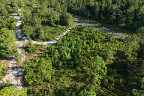 Land in Fort MC Coy, Florida № 2394400 - photo 21