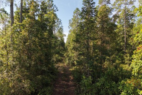 Land in Fort MC Coy, Florida № 2394400 - photo 26