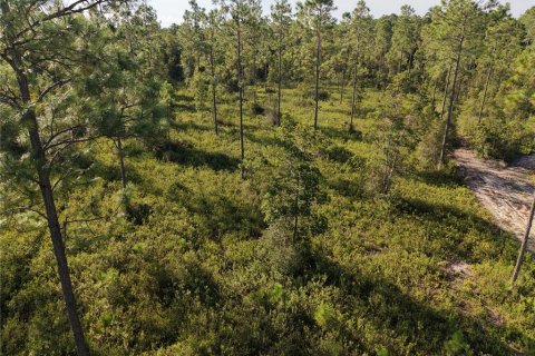 Land in Fort MC Coy, Florida № 2394400 - photo 22