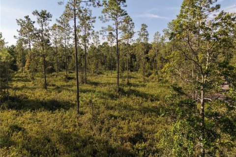 Land in Fort MC Coy, Florida № 2394400 - photo 25