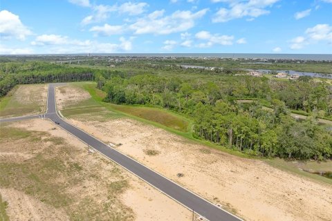 Land in Flagler Beach, Florida № 1913846 - photo 20