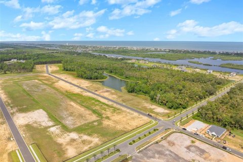 Land in Flagler Beach, Florida № 1913846 - photo 11