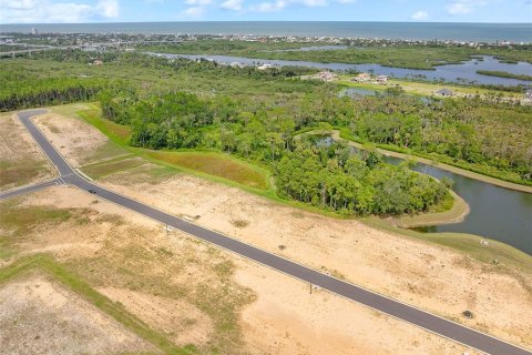 Land in Flagler Beach, Florida № 1913846 - photo 26
