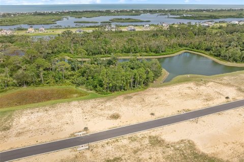 Land in Flagler Beach, Florida № 1913846 - photo 22