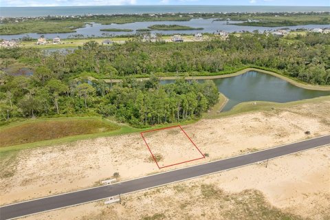 Land in Flagler Beach, Florida № 1913846 - photo 21