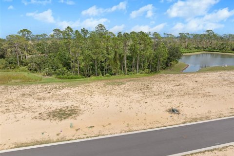 Land in Flagler Beach, Florida № 1913846 - photo 2